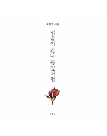 입술이 칸나 꽃잎처럼 - 북인시선