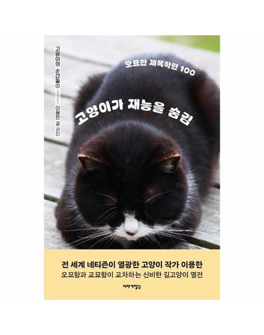 고양이가 재능을 숨김 - 오묘한 제목학원 100 - 고양이의 순간들 1