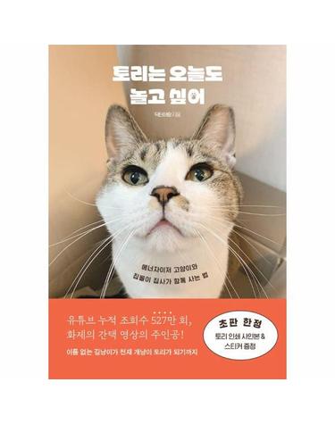 토리는 오늘도 놀고 싶어 - 에너자이저 고양이와 집돌이 집사가 함께 사는 법