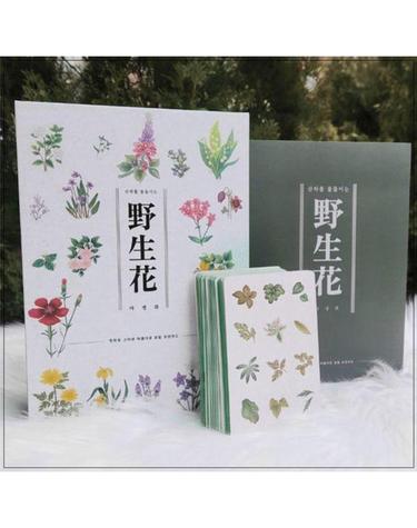 야생화 오라클 카드 - 산하를 물들이는, 만화로 그려낸 아름다운 꽃말 조언카드