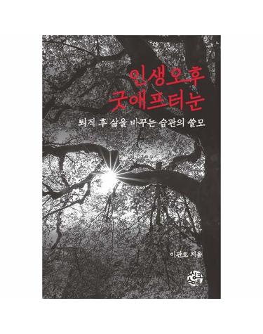 인생오후 굿애프터눈 - 퇴직 후 삶을 바꾸는 습관의 쓸모