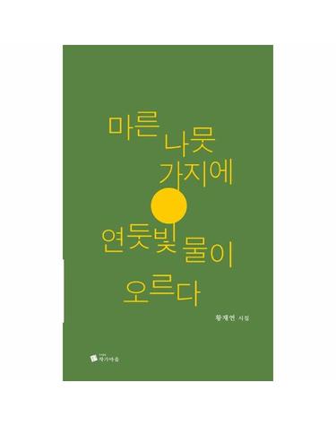 마른 나뭇가지에 연둣빛 물이 오르다