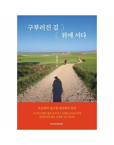 구부러진 길 위에 서다 - 우리 인생과 닮은 산티아고 순례길 35일의 여정