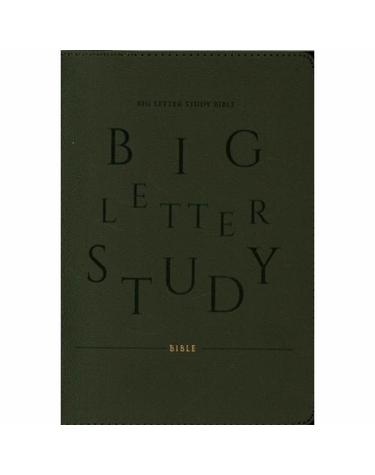 큰글자 스터디성경 개역개정 새찬송가 (대합본/PU/다크브라운/지퍼/색인)