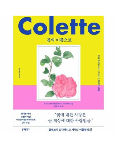 봄의 이름으로 - 꽃과 함께 떠나는 지적이고 황홀한 여행 (라울 뒤피 에디션) (양장)