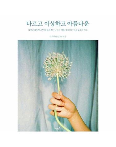 다르고 이상하고 아름다운 - 자연공예가 믹스뚜가 들려주는 나만의 색을 찾아가는 다채로움의 기록