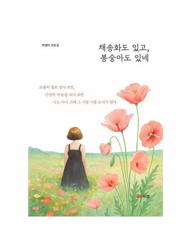 채송화도 있고, 봉숭아도 있네