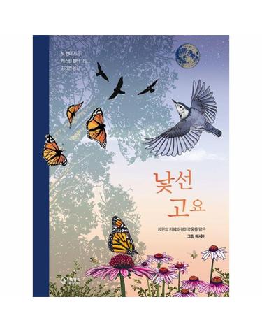낯선 고요 - 자연의 지혜와 경이로움을 담은 그림 에세이