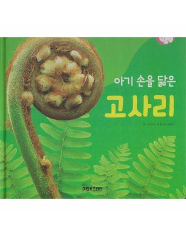 아기손을 닮은 고사리 - 식물과 식생활 - 플러스업 자연속으로 (양장)