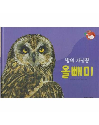 밤의 사냥꾼 올빼미 - 날개가 달린 동물 - 플러스업 자연속으로 (양장)