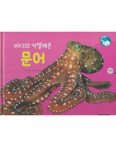 바다의 카멜레온 문어 - 물을 좋아하는 동물 - 플러스업 자연속으로 (양장)