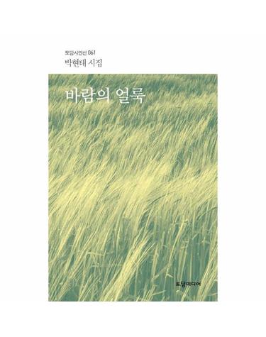 바람의 얼룩 - 토담시인선 61
