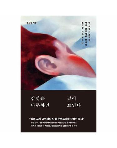 감정을 마주하면 길이 보인다 - 내 삶을 가로막는 핵심 감정에서 벗어나 온전한 나로 사는 법