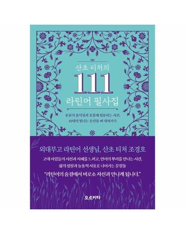 산초 티처의 111 라틴어 필사집 - 10대의 빛나는 순간을 써 내려가다.