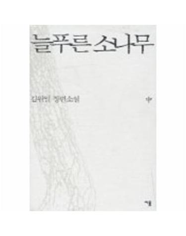 늘푸른 소나무 (중)