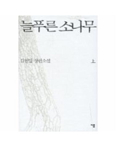 늘푸른 소나무 (상)