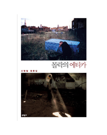 몰락의 에티카 신형철 평론집