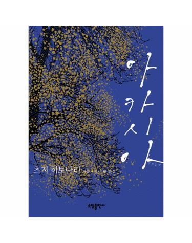 아카시아