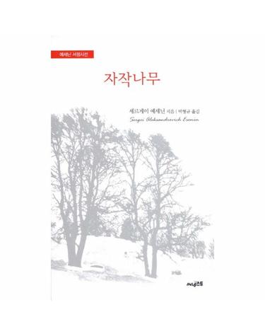 자작나무 예세닌 서정시선