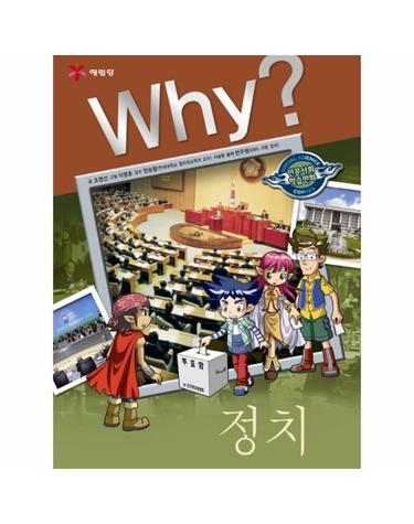 Why 정치
