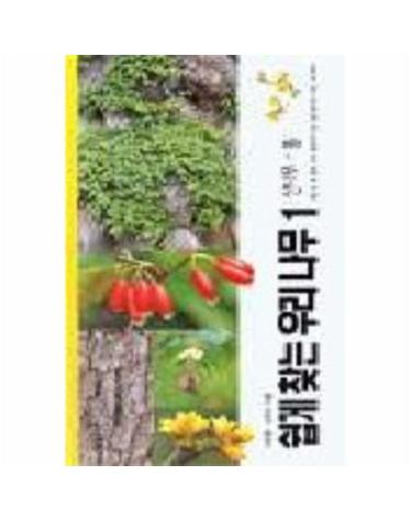 쉽게 찾는 우리나무 1(산나무-봄)