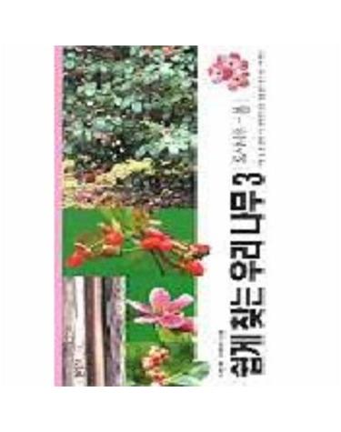 쉽게 찾는 우리나무 3(도시나무-봄)