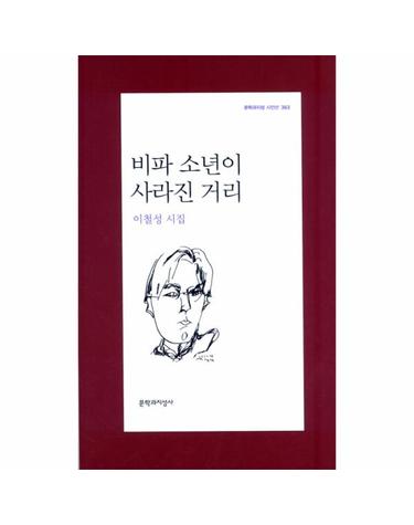 비파 소년이 사라진 거리