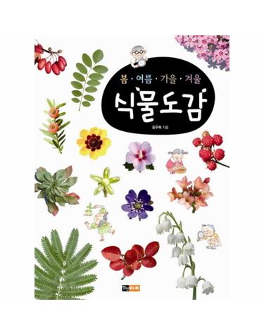 식물도감 봄 여름 가을 겨울