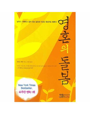 영혼의 돌봄 - 날마다 거룩하고 깊이 있는 삶으로 이끄는 영성지도 필독서