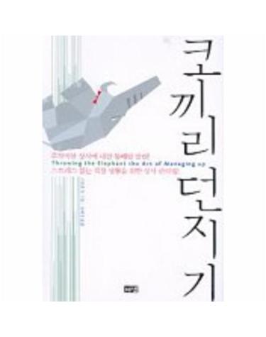 코끼리던지기