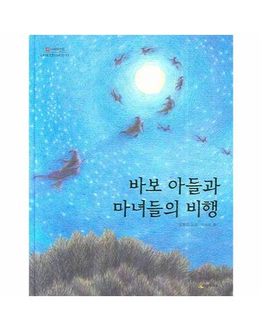 바보 아들과 마녀들의 비행