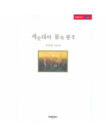 세숫대야 물속 풍경
