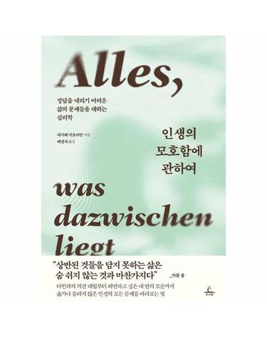 인생의 모호함에 관하여 - 정답을 내리기 어려운 삶의 문제들을 대하는 심리학