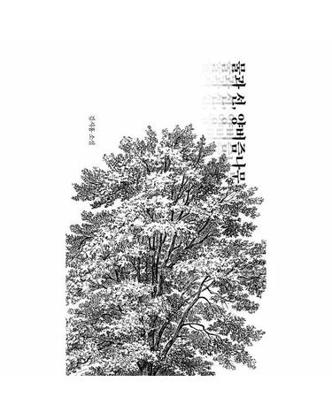 물과 선, 양버즘나무 - 그늘 중편선 3