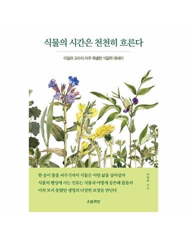 식물의 시간은 천천히 흐른다 - 이일하 교수의 아주 특별한 식물학 에세이 - 지식벽돌