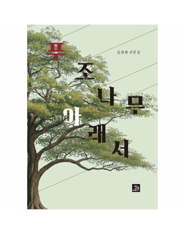 푸조나무 아래서