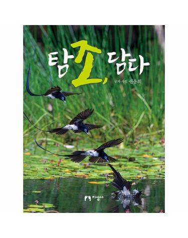 탐조, 담다 (양장)