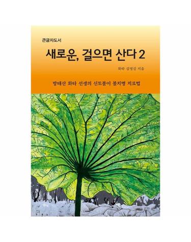 [큰글자도서] 새로운, 걸으면 산다 2 - 방태산 화타 선생의 신토불이 불치병 치료법