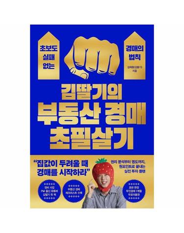 웅진북센 김딸기의 부동산 경매 초필살기 - 초보도 실패 없는 경매의 법칙