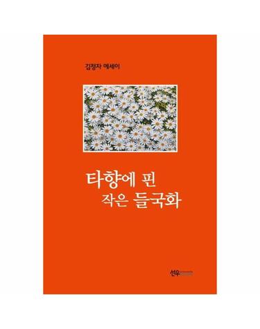 타향에 핀 작은 들국화
