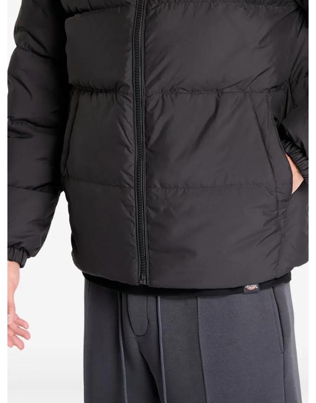 타미진스 [해외직구] 26 FW Tommy Jeans 에센셜 다운 재킷 DM0DM19786 TP459122673 착용컷