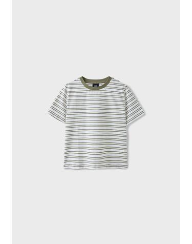 스트라디바리우스 스트라이프 레귤러핏 반팔 티셔츠 6516/348/550 KHAKI