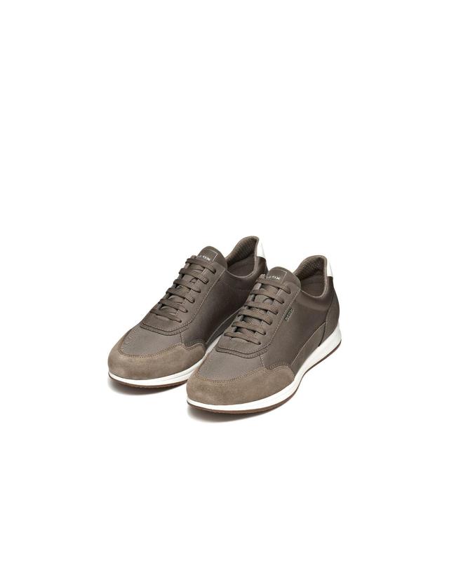 꼬르떼피엘 제옥스 데일리 남성 베이직 스니커즈 7533188 BEIGE 브라운 착용컷