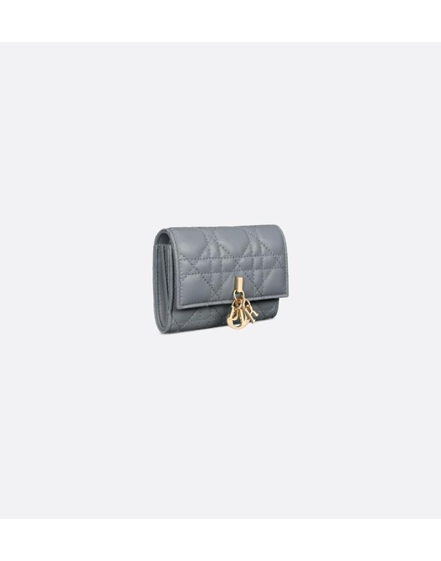 디올 [해외직구] 디올 My Dior Glycine 지갑S0966ONMJ_M81B 착용컷