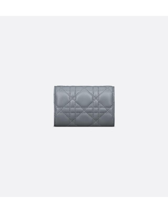 디올 [해외직구] 디올 My Dior Glycine 지갑S0966ONMJ_M81B 착용컷