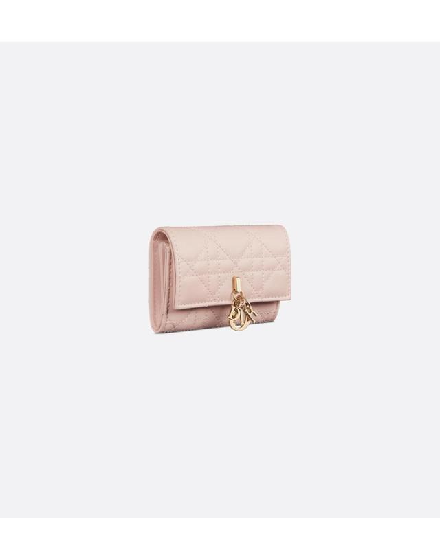 디올 [해외직구] 디올 My Dior Glycine 지갑S0966ONMJ_M413 착용컷