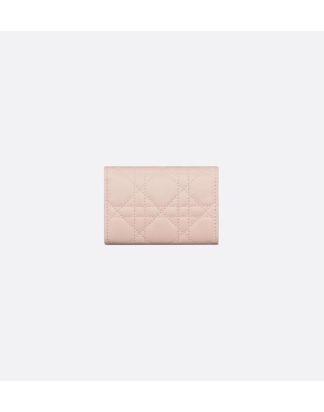디올 [해외직구] 디올 My Dior Glycine 지갑S0966ONMJ_M413 착용컷