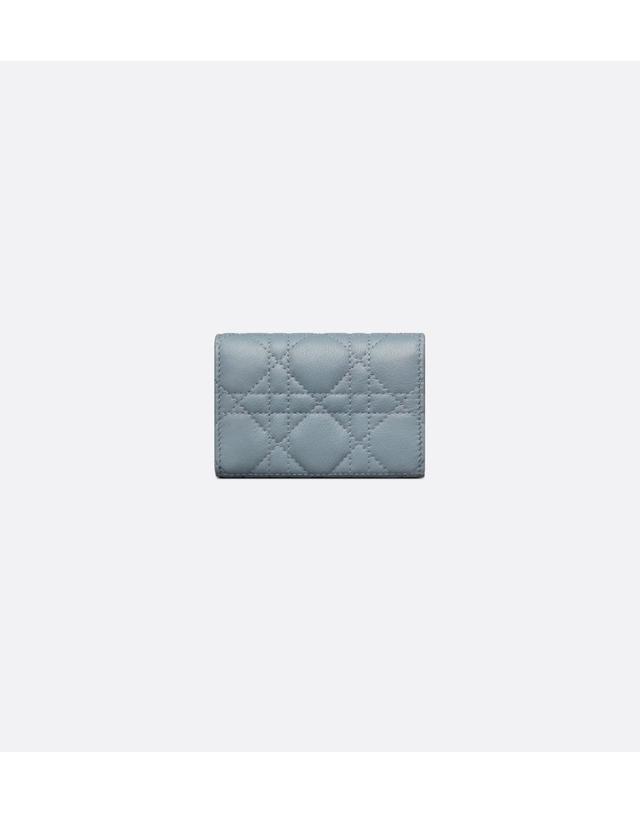디올 [해외직구] 디올 Dior Caro Glycine 지갑S5132UWHC_M81B 착용컷