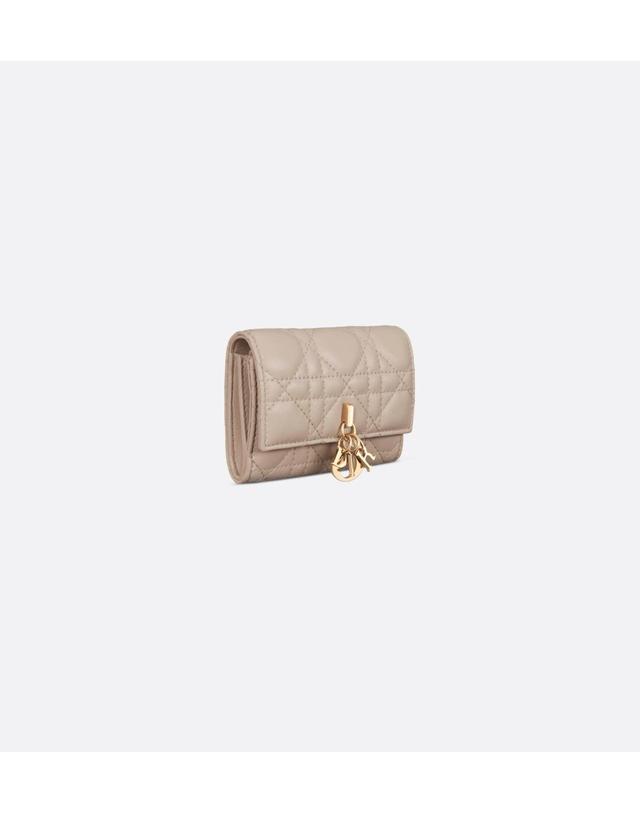 디올 [해외직구] 디올 My Dior Glycine 지갑S0966ONMJ_M51U 착용컷