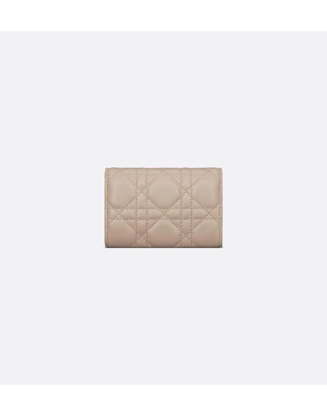 디올 [해외직구] 디올 My Dior Glycine 지갑S0966ONMJ_M51U 착용컷